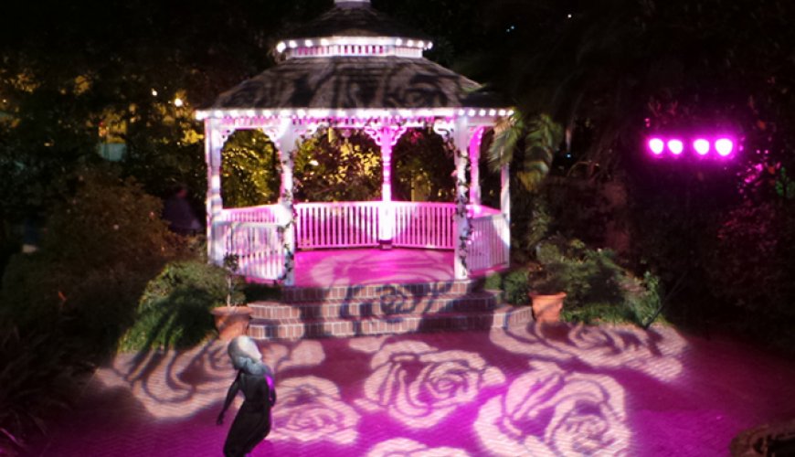 Proiezioni luminose per matrimoni