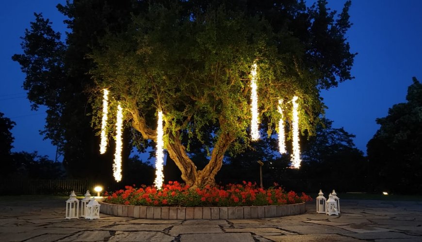 Luminarie, tende, sfere, cieli stellati e alberi luminosi per matrimonio Luminarie, tende, sfere, cieli stellati e alberi luminosi per matrimonio