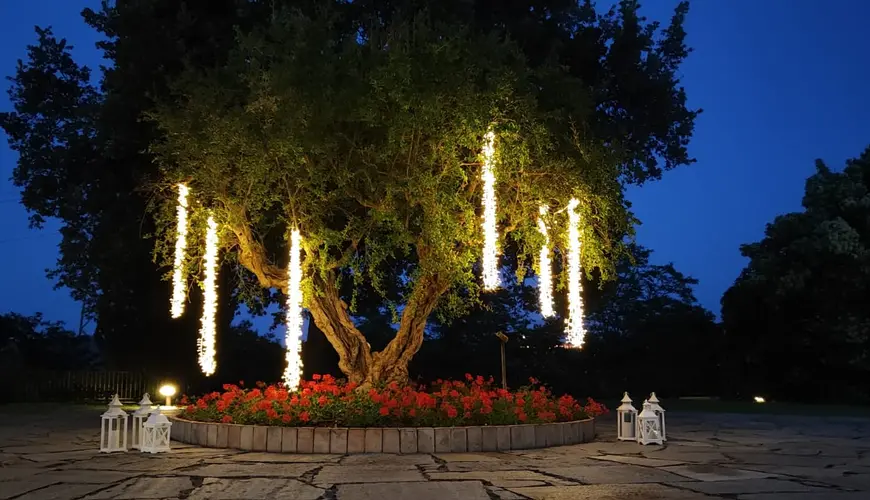 Luminarie, tende, sfere, cieli stellati e alberi luminosi per matrimonio