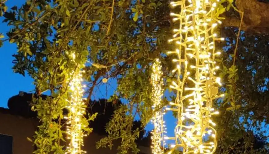 Luminarie, tende, sfere, cieli stellati e alberi luminosi per matrimonio